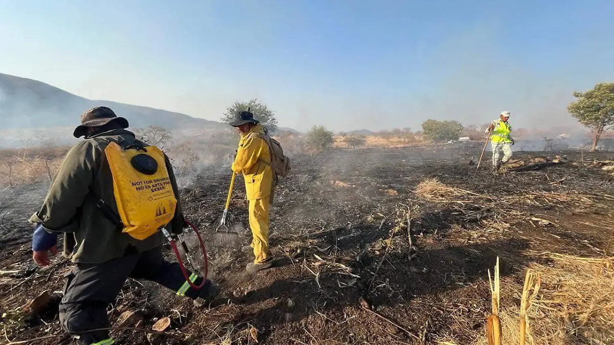 otro forestal